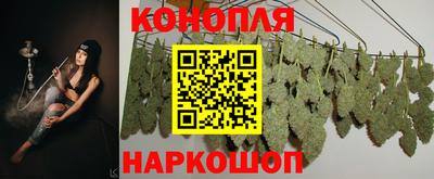 прущие крисы Гай