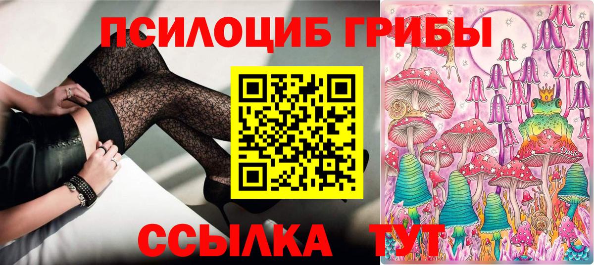 Псилоцибиновые грибы Psilocybine cubensis Каменск-Шахтинский