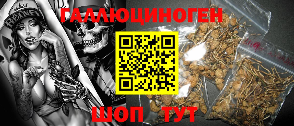 Галлюциногенные грибы ЛСД  закладки  Каменск-Шахтинский  Псилоцибиновые грибы Magic Shrooms 