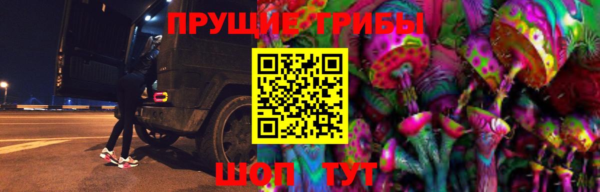 Псилоцибиновые грибы MAGIC MUSHROOMS  Вход с VPN  Каменск-Шахтинский 